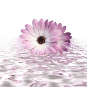 0bd752a6514720bb4906196951dd18af