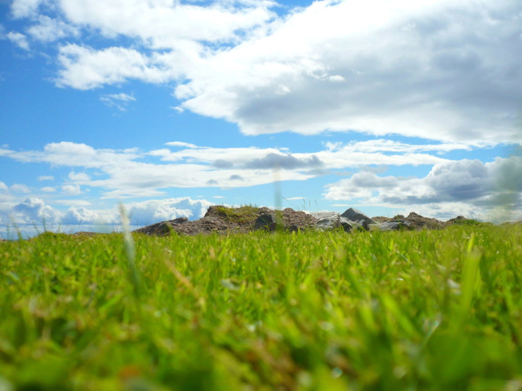 Oscar Guirado Boguñá