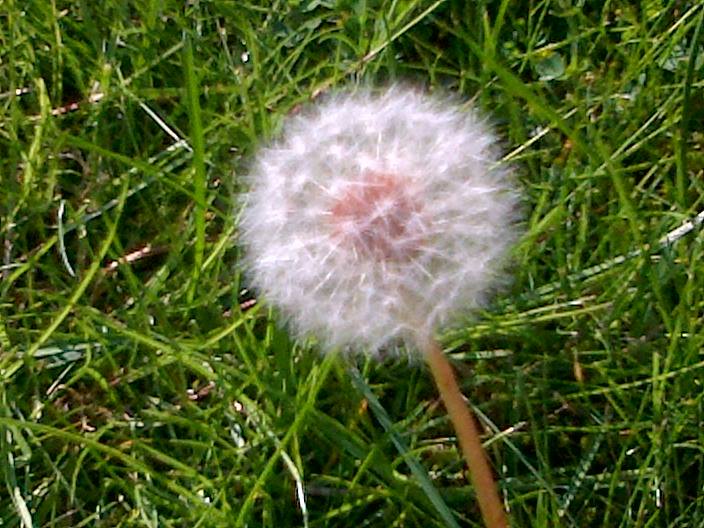 12143143_1031040983584040_2454344694314689698_n