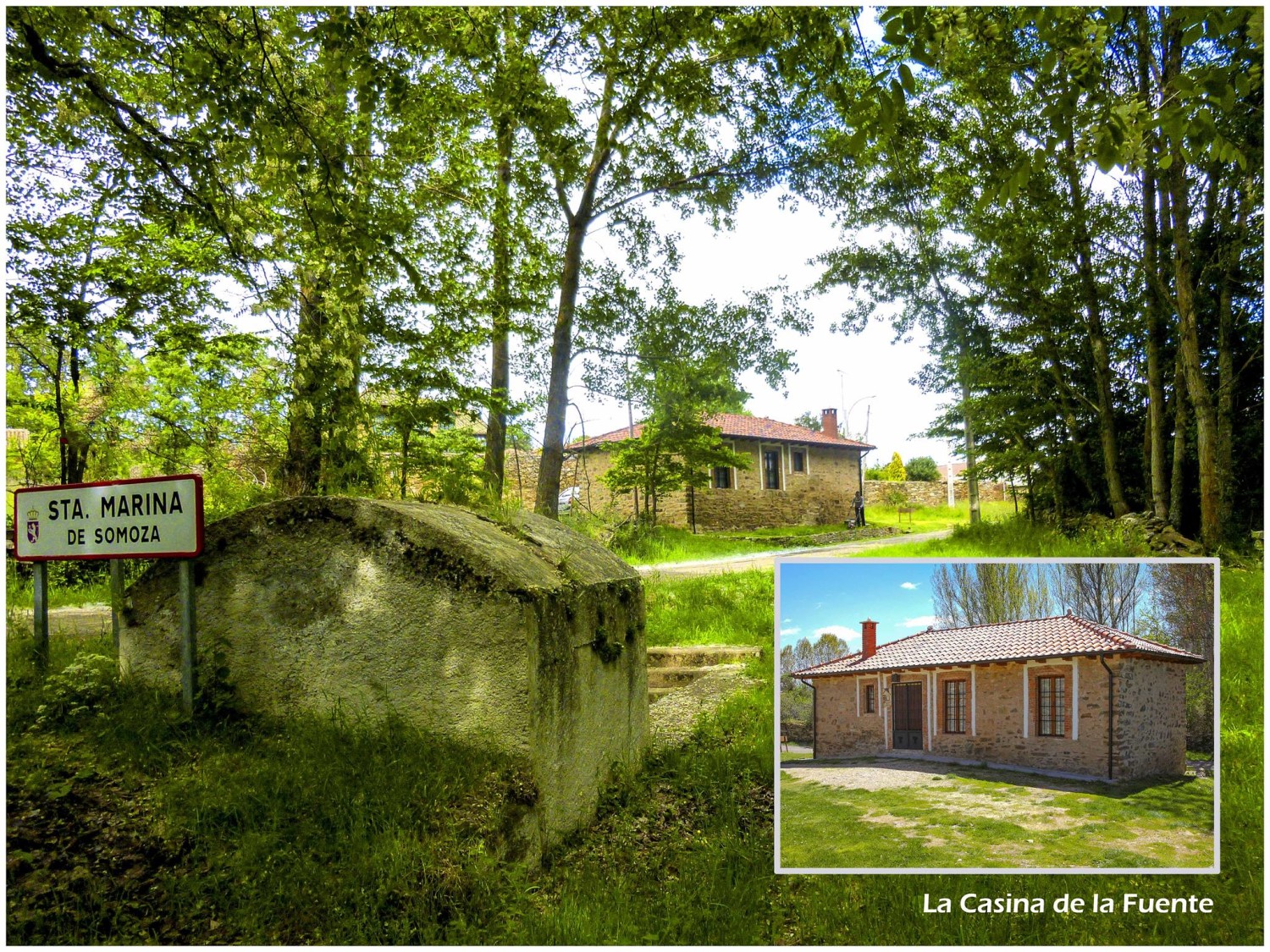 17191865_1275257219225201_3985432971473854202_o