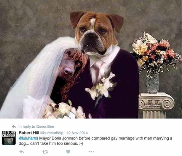 2 Dos perros macho se casan