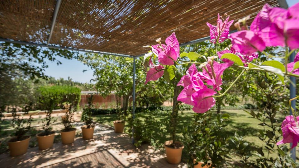 Finca Son Miranda Agroturismo