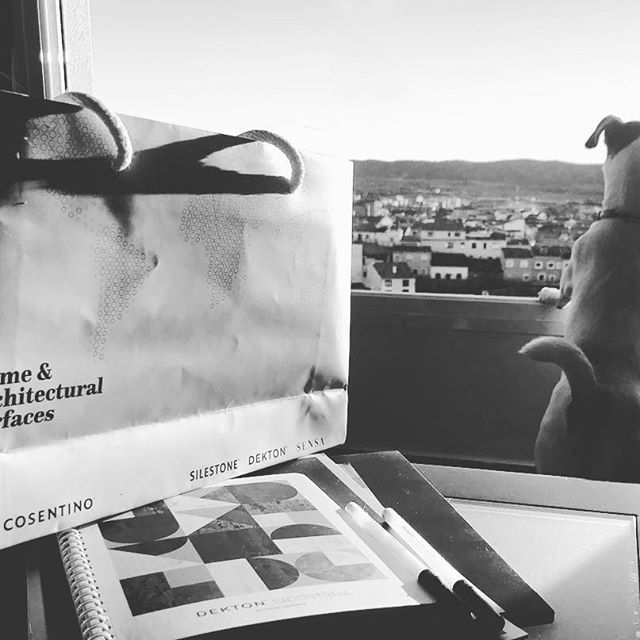 43049076_953651614840974_3155360662944543371_n