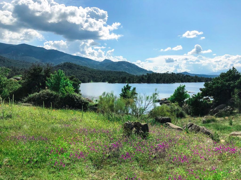 Casa Rural El Rincon De Iruelas