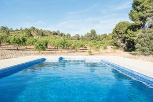 5e009b_aadcc9fe05a644f9b76febbe11985e48-mv2_d_6016_4016_s_4_2