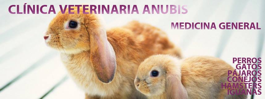 66800_505169729566515_392333015_n