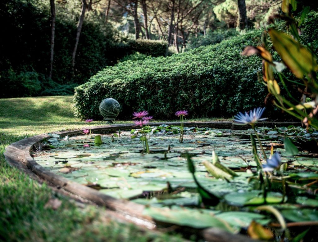 Construcciones Vanrell