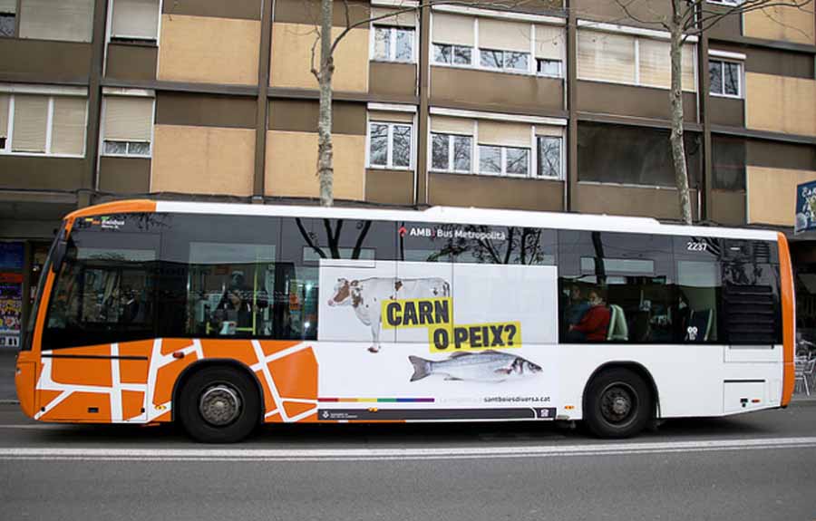 "¿Carne o pescado?": A favor de la diversidad en Sant Boi frente al autobús transfóbico de Hazte Oír