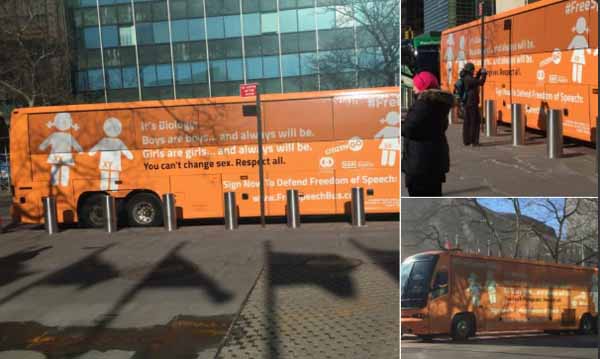 Bus transfóbico en América