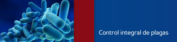 CONTROL_PLAGAS_MADRIDSER_CONSERJES1