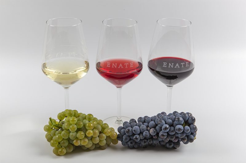 Cata_Vino_Uva_web-800&#215;530