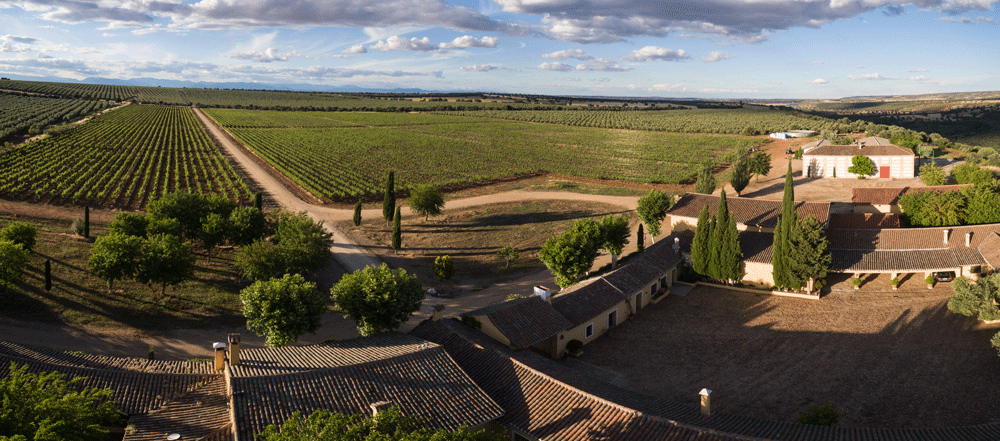 DJI_0184-Pano