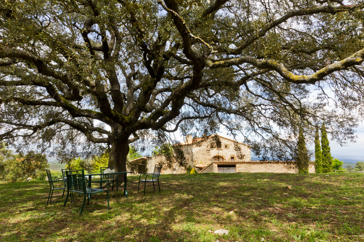 EL-MAS_Alsina_007_6949