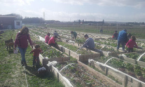 El parque de los huertos