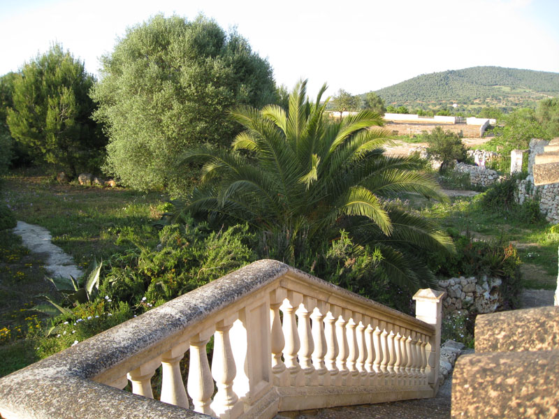 Es-Mirador-Finca-Sa-Cova-5
