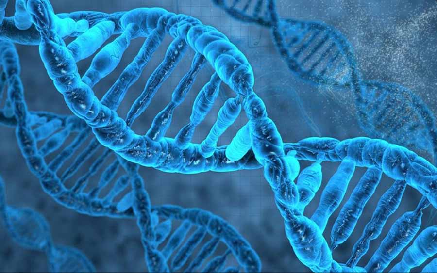 Los científicos están tratando de encontrar el "gen transgénero"