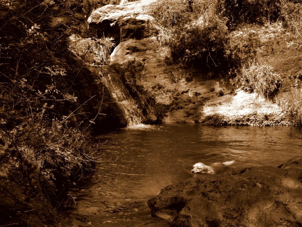 Gorg-les-Valls