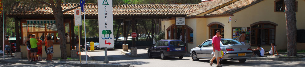 Camping Cala Montgó