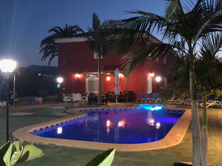IMG_0549