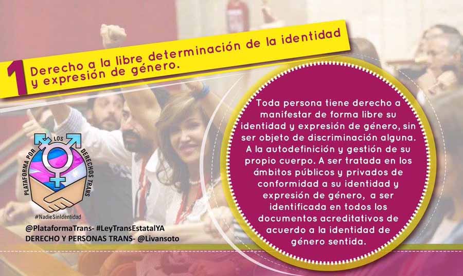 #LeyTransEstatal: La campaña jurídica en redes de la Plataforma por los Derechos Trans