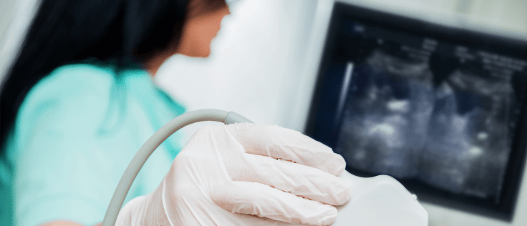 Instituto-Palacios-especialidades-banner-768x329