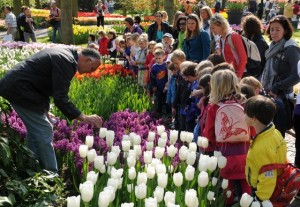 KEUKENHOF 