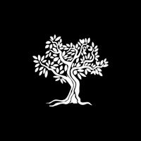 Logo-Mediterrean-Fusion