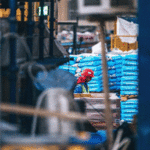 Transportes Y Mudanzas Edward