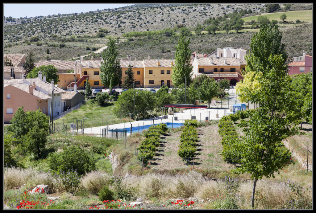 MG_1479-copia-1