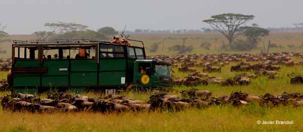 Perspicaz Deshonestidad Refinar Kananga, 25 años de viajes a África | Directorio Loottis