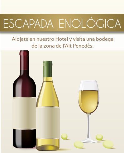 Oferta_enologica_banner