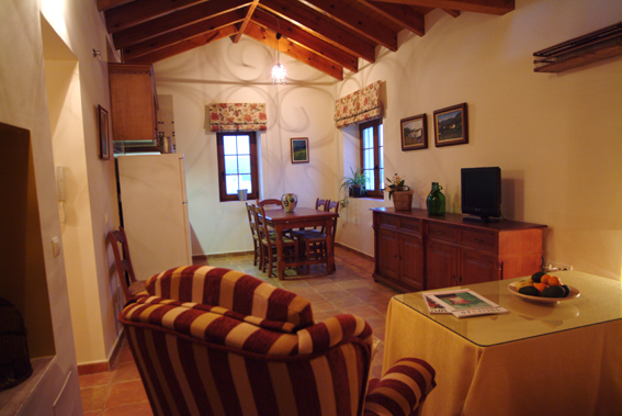 Palomar-1