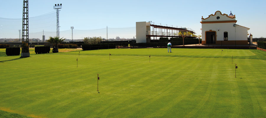 Putting-green