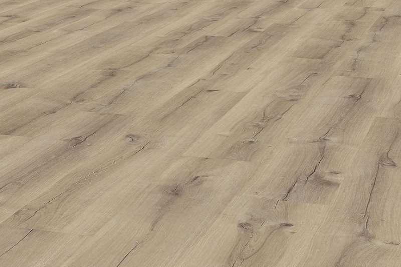 ROBLE-OBELISQUE-800X533