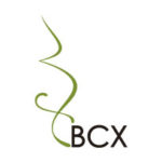 Bcx Educacio Maternal Fisioterapia