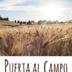 Puerta Al Campo