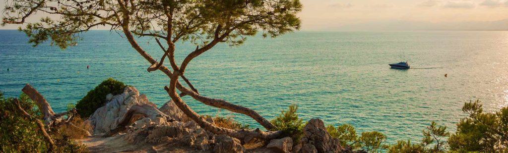 Apartamentos Rentalmar