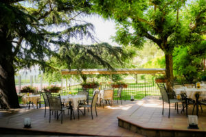 TERRAZA DESAYUNOS (2)