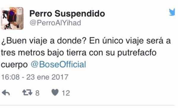 Tuit de odio Bimba Bosé 4