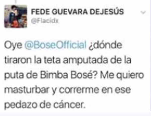 Tuit de odio Bimba Bosé