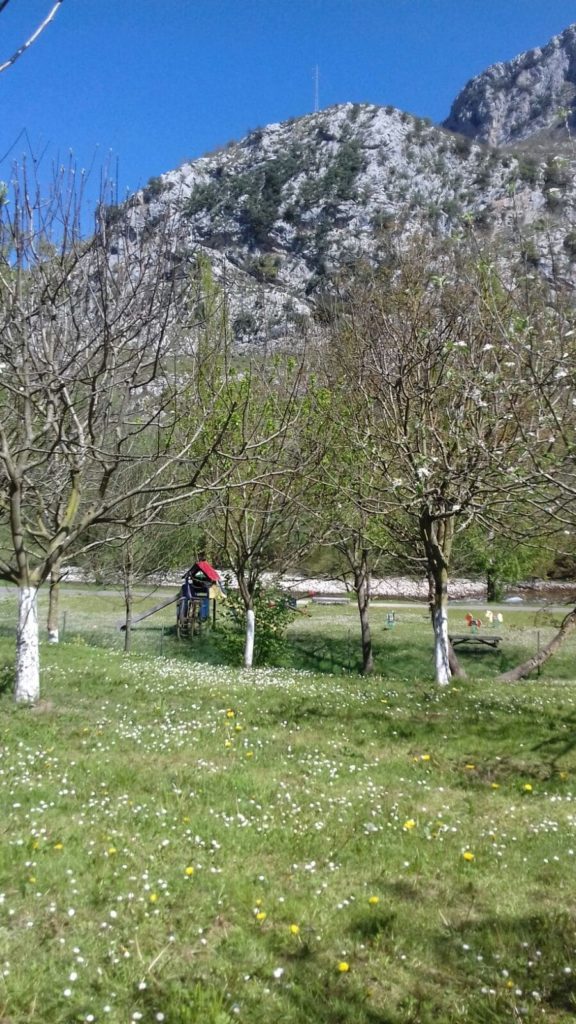 VISTAS-AL-PARQUE-DESDE-LA-FINCA-min