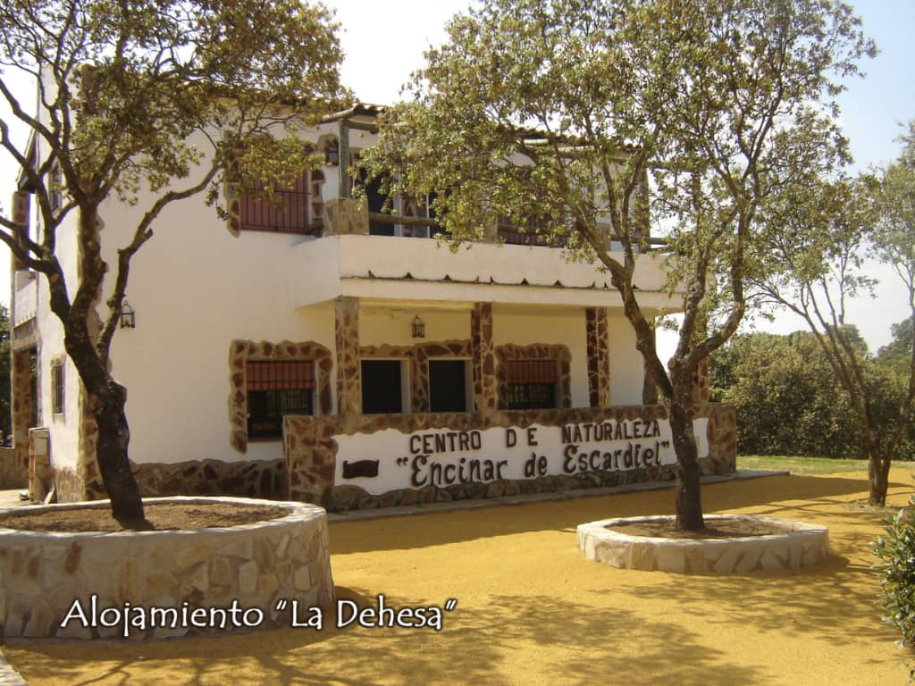 alojamiento-la-dehesa-01