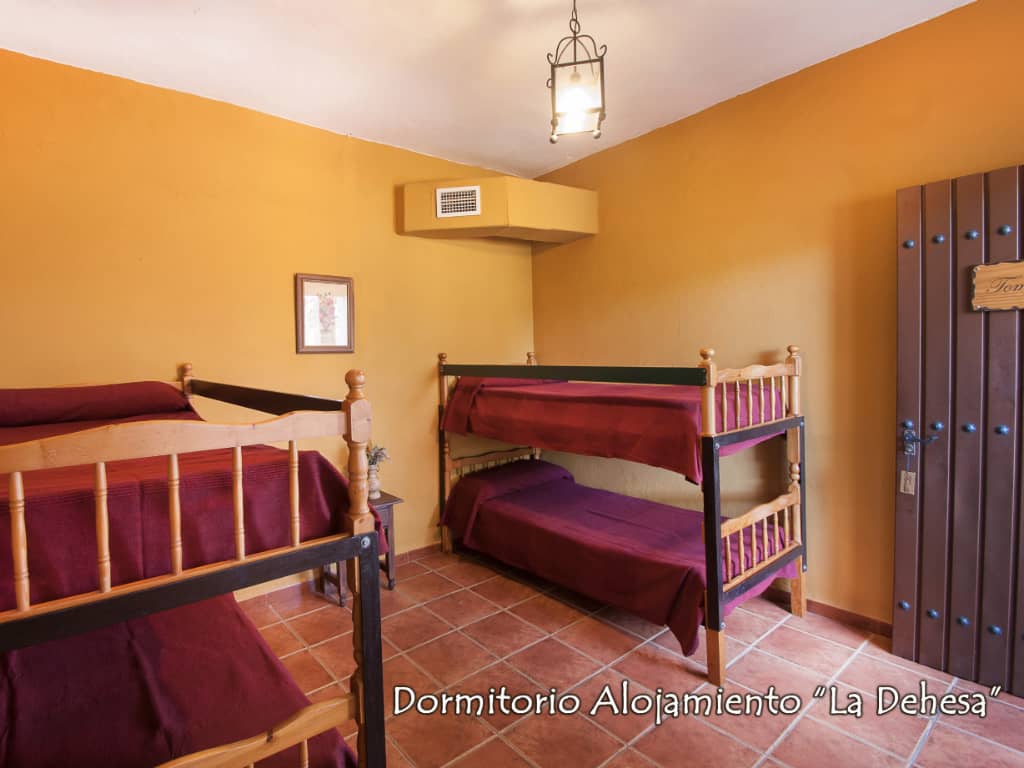 alojamiento-la-dehesa-02