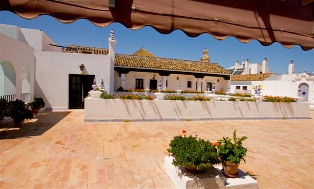 c56ff0_Solarium-desde-202-2