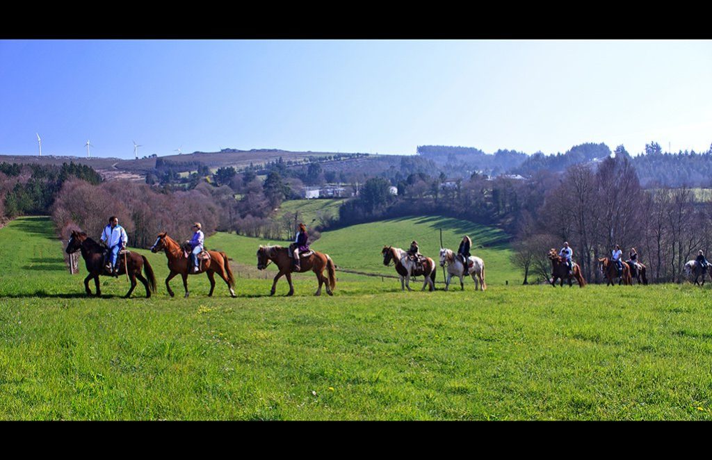 caballo-1-1024&#215;662