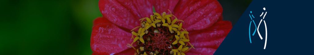 cabecera-psicologo-caceres-sexologia-x
