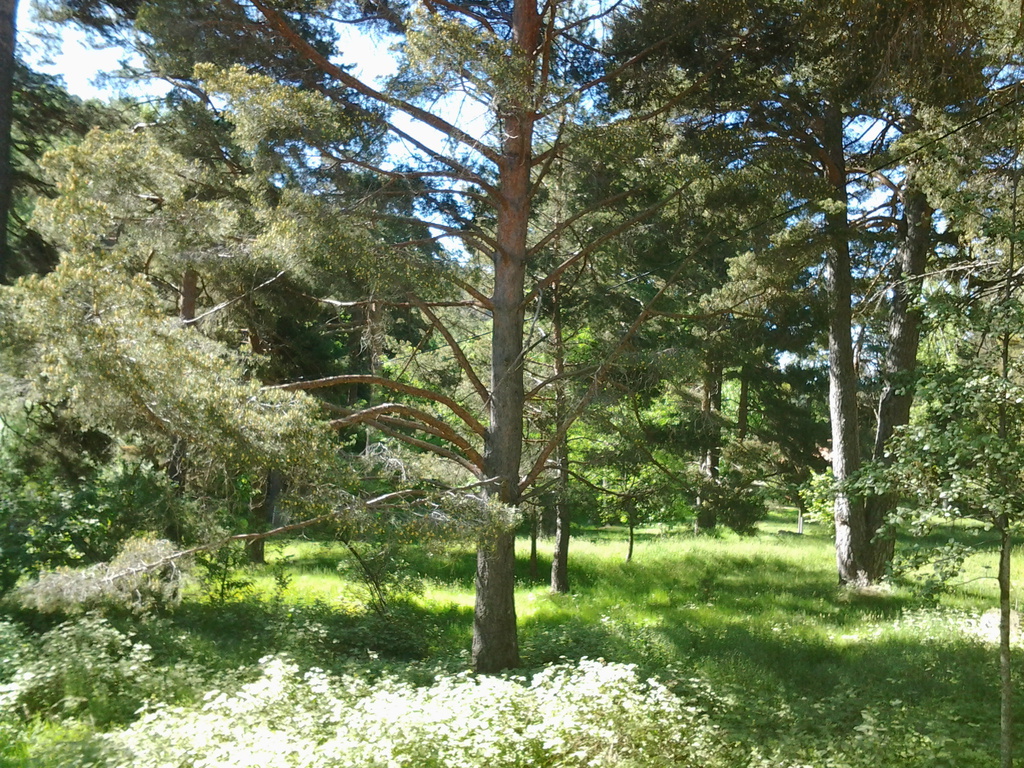 cache_33637473