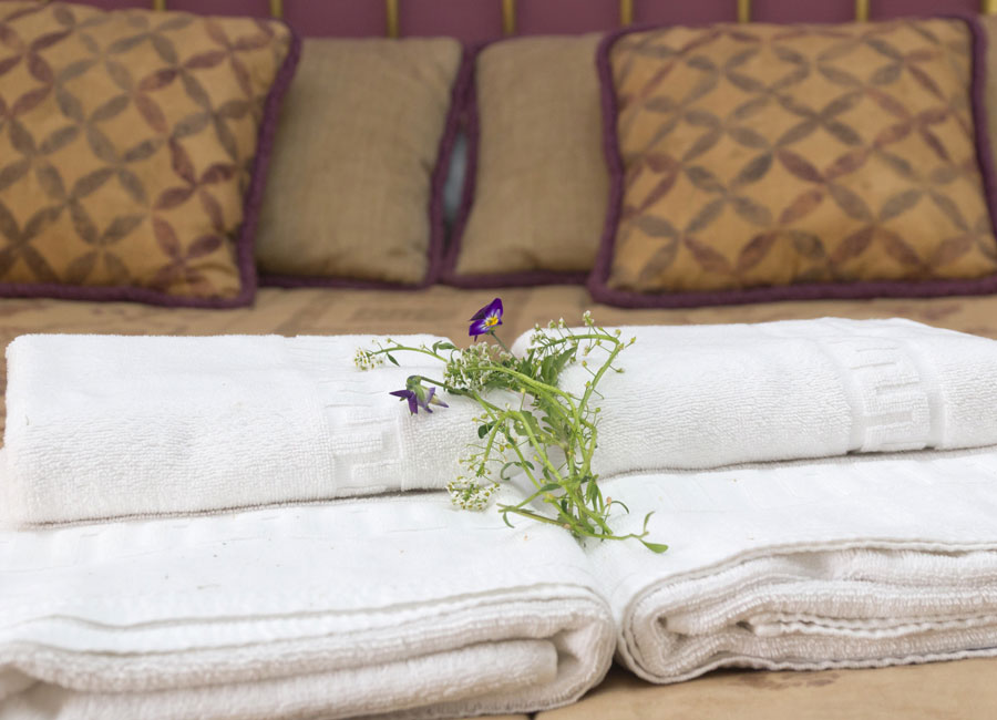 detalle-habitacion-n3-la-gurriata-estancias-rurales-segovia