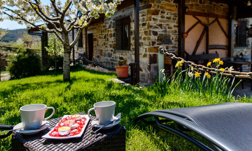 detalles-jardin fichas