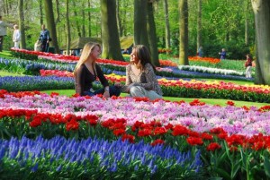 Flores de Holanda